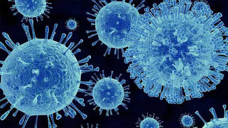 Norovirus Disinfection
